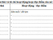 Tiết 6 – Tuần 27 trang 39 VBT Tiếng Việt 2 tập 2: Điền từ chỉ loài thú và cử chỉ hoạt động hoặc đặc điểm của nó vào bảng sau 