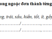 Tiết 8 – Tuần 35 trang 77 VBT Tiếng Việt 2 tập 2: Viết từ 3 đến 5 câu nói về bé của em (hoặc em bé của nhà hàng xóm)