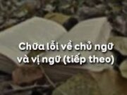 Soạn bài Chữa lỗi về chủ ngữ và vị ngữ (tiếp) – Bài 30 trang 141 văn 6: Cho biết mỗi bộ phận in đậm trong câu sau nói về ai ?