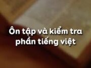 Soạn bài Ôn tập kiểm tra phần Tiếng Việt – Bài 16 trang 157 Văn 8: Tìm trong ca dao Việt Nam hai ví dụ về biện pháp tu từ nói quá hoặc nói giảm nói tránh.