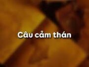 Soạn bài Câu cảm thán – Bài 21 văn 8 trang 43: Phân tích tình cảm, cảm xúc được thể hiện trong những câu sau đây.