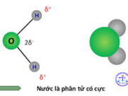 Bài 1.18, 1.19, 1.20 trang 6 SBT hóa học 11: Hỏi sự điện li của nước là thu nhiệt hay toả nhiệt ?