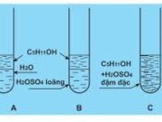 Đề kiểm tra 1 tiết (45 phút) Đề số 3 Chương VIII Hóa học 11 Dẫn xuất Halogen – Ancol – Phenol :Hợp chất (X) có công thức phân tử C7H8O. Số đồng phân của phenol tối đa là bao nhiêu ?