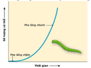 Bài 14, 15, 16, 17 trang 127 SBT Sinh 12: Hãy mô tả các đặc điểm thích nghi với môi trường khô hạn của thú và thực vật có hoa ?