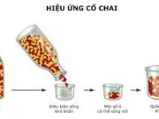 Bài 48, 49, 50 trang 102 SBT Sinh 12: Phát biểu nào sau đây không đúng với quan niệm tiến hoá hiện đại ?