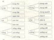 Chính tả – Tuần 7 trang 31 VBT Tiếng Việt lớp 3 tập 1: Tìm và viết vào chỗ trống những tiếng có thể ghép vào trước hoặc sau mỗi tiếng dưới đây 