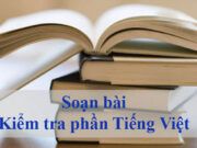 Soạn bài Kiểm tra phần tiếng Việt Ngữ văn 9 trang 204 ngắn: Vận dụng kiên thức đã học về từ láy để phân tích nét nổi bật của việc dùng từ trong những câu thơ sau