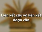 Soạn bài Liên kết câu và liên kết đoạn văn Ngữ văn 9 trang 42 (ngắn gọn): Phân tích sự liên kết về nội dung, về hình thức giữa các câu