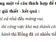 Luyện từ và câu – Nối các vế câu ghép bằng quan hệ từ trang 22, 23 VBT Tiếng Việt 5 tập 2: Điền quan hệ từ thích hợp vào mỗi chỗ trống để tạo ra những câu ghép chỉ điều kiện – kết quả hoặc giả thiết – kết quả 