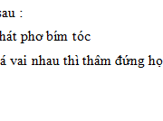 Luyện từ và câu – Tuần 25 Trang 31 Vở bài tập Tiếng Việt 3 tập 2: Cách gọi và tả sự vật, con vật có gì hay ? Đánh dấu X vào □ trước những câu trả lời thích hợp.
