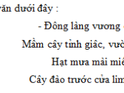 Luyện từ và câu – Tuần 33 Trang 65 Vở bài tập Tiếng Việt 3 tập 2: Viết một câu có sử dụng phép nhân hoá để tả bầu trời buổi sáng sớm hoặc tả một vườn cây