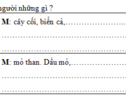 Luyện từ và câu – Tuần 34 Trang 70 VBT Tiếng Việt 3 tập 2: Điền dấu chấm hoặc dấu phẩy vào mỗi ô trống 