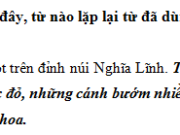 Luyện từ và câu – Liên kết các câu trong bài bằng cách lặp từ ngữ trang 39 VBT Tiếng Việt 5 tập 2: Điền từ ngữ cá song, tôm, thuyền, cá chim, chợ vào chỗ trống thích hợp để các câu, đoạn được liên kết với nhau