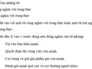 Luyện từ và câu – Mở rộng vốn từ: Trung thực – Tự trọng trang 31 Vở BT Tiếng Việt 4 tập 1: Đặt câu với một từ cùng nghĩa với trung thực hoặc một từ trái nghĩa với trung thực