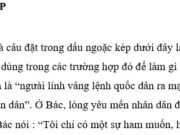 Luyện từ và câu – Dấu ngoặc kép trang 53 Vở bài tập Tiếng Việt 4 tập 1: Tìm từ ngữ được dùng với ý nghĩa đặc biệt trong những câu văn in nghiêng dưới đây rồi đặt các từ đó trong dấu ngoặc kép