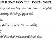 Luyện từ và câu – Mở rộng vốn từ : Ý chí – Nghị lực trang 82 Vở bài tập Tiếng Việt 4 tập 1: Điền từ thích hợp trong ngoặc đơn vào chỗ trống (nghị lực, quyết tâm, nản chí, quyết chí, kiên nhẫn, nguyện vọng)