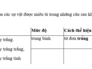 Luyện từ và câu – Tính từ (tiếp theo) trang 86 Vở BT Tiếng Việt 4 tập 1: Trong mỗi câu dưới đây, ý nghĩa mức độ được thể hiện bằng những cách nào