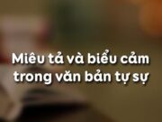 Soạn bài Miêu tả, biểu cảm trong văn bản tự sự ngắn gọn nhất Văn 10: Cần căn cứ vào đâu để đánh giá hiệu quả của miêu tả và biểu cảm trong văn tự sự?