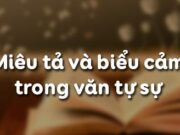 Soạn bài Miêu tả và biểu cảm trong bài văn tự sự Văn 10: Miêu tả trong văn bản tự sự có hoàn toàn giống với miêu tả trong văn bản miêu tả hay không?