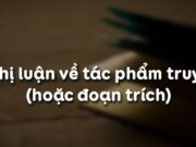 Soạn bài Cách làm bài nghị luận về tác phẩm truyện (hoặc đoạn trích) Văn 9 trang 64 (ngắn gọn): Hãy viết phần Mở bài và một đoạn phần Thân bài