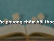 Soạn bài Các phương châm hội thoại trang 8 Ngữ văn 9 ngắn gọn nhất: Truyện cười này phê phán điều gì?