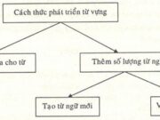 Soạn bài Sự phát triển của từ vựng Văn 9 trang 72 (tiếp theo) ngắn gọn nhất: Hãy cho biết trong thời gian gần đây có những từ ngữ nào mới được câu tạo trên cơ sở các từ sau