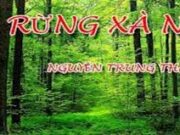 Soạn bài Rừng xà nu trang 37 Ngữ văn 12 (ngắn gọn): Anh (chị) cảm nhận được ý nghĩa gì của truyện ngắn qua nhan đề?