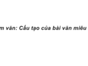 Tập làm văn : Cấu tạo của bài văn miêu tả con vật trang 75 VBT Tiếng Việt lớp 4 tập 2: Nội dung chính của đoạn văn một là giới thiệu về con mèo định tả