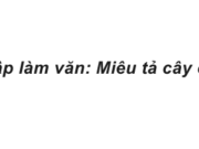 Luyện từ và câu : Câu khiến trang 54 VBT Tiếng Việt lớp 4 tập 2: Em hãy đặt một câu khiến để nói với bạn, với anh chị hoặc với cô giáo (thầy giáo)