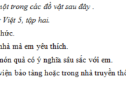 Tập làm văn – Ôn tập về tả đồ vật trang 37, 38 VBT Tiếng Việt lớp 5 tập 2: Lập dàn ý cho bài văn tả một đồ vật trong viện bảo tàng hoặc trong nhà truyền thống mà em đã có dịp quan sát