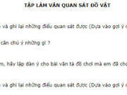 Tập làm văn – Quan sát đồ vật trang 113 Vở BT Tiếng Việt 4 tập 1: Dựa theo kết quả quan sát của em, hãy lập dàn ý cho bài văn tả đồ chơi mà em đã chọn