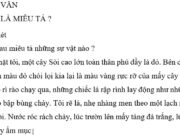 Tập làm văn – Thế nào là miêu tả ? trang 97 VBT Tiếng Việt 4 tập 1: Qua những lời miêu tả trên, em thấy tác giả đã quan sát sự vật bằng những giác quan nào