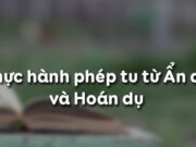 Soạn bài Thực hành phép tu từ ẩn dụ và hoán dụ ngắn gọn Văn 10: Ví dụ một số câu văn có dùng phép ẩn dụ