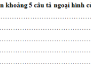 Tiết 5 – Ôn tập giữa học kì 2 trang 62 VBT Tiếng Việt 5 tập 2: Đôi mắt ông nay không còn tinh anh nữa. Mỗi lần muốn đọc báo ông phải đeo kính