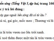 Tiết 7 – Ôn tập cuối năm trang 110, 111 VBT Tiếng Việt lớp 5 tập 2: Dấu hiệu nào giúp Thương và các bạn biết cây gạo lớn thêm một tuổi