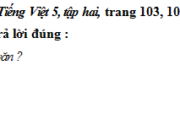 Tiết 7 – Ôn tập giữa học kì 2 trang 63 VBT Tiếng Việt lớp 5 tập 2: rong câu “Chúng không còn là hồ nước nữa, chúng là những cái giếng không đáy, ở đó ta có thể nhìn thấy bầu trời bên kia trái đất. ”, từ đó chỉ sự vật gì