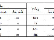 Chính tả – Tuần 3 trang 13,14 Vở bài tập Tiếng Việt lớp 5 tập 1: ừ bài tập trên, em hãy cho biết khi viết một tiếng, dấu thanh cần được đặt ở đâu