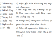 Luyện từ và câu – Luyện tập về từ trái nghĩa trang 25, 26 VBT Tiếng Việt lớp 5 tập 1: Đặt câu để phân biệt các từ trong một cặp từ trái nghĩa em vừa tìm được ở bài tập trên