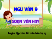 Soạn bài Luyện tập tóm tắt văn bản tự sự Văn lớp 9 trang 58 ngắn gọn nhất: Tóm tắt Chuyện người con gái Nam Xương