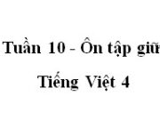 Tiết 7 ôn tập giữa học kì 2 trang 65 VBT Tiếng Việt lớp 4 tập 2: Có thể thay từ nhỏ nhoi trong câu Suốt đời, tôi chỉ là một chiếc lá nhỏ nhoi bình thường bằng từ nào dưới đây?