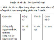 Luyện từ và câu – Tổng kết vốn từ trang 106, 107, 108 Vở bài tập Tiếng Việt lớp 5 tập 1: Viết một đoạn văn khoảng 5 câu miêu tả ngoại hình của một người thân hoặc một người em quen biết