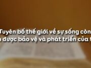 Soạn bài Tuyên bố thế giới về sự sống còn, quyền được bảo vệ và phát triển của trẻ em Văn 9 trang 31 ngắn gọn nhất: Văn bản này được bố cục thành mấy phần?