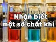 Bài 8.8, 8.9, 8.10, 8.11, 8.12, 8.13, 8.14 trang 97,98 SBT Hóa 12: Để khử khí H2S trong phòng thí nghiệm có thể dùng chất nào ?