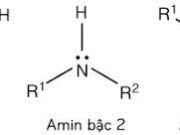 Bài 3.8, 3.9, 3.10 trang 18 SBT Hóa lớp 12: rình bày phương pháp hoá học để tách riêng từng chất từ hỗn hợp gồm benzen, phenol và anilin ?