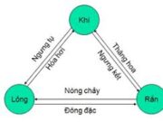 Bài 38.1, 38.2, 38.3 trang 89 SBT môn Lý lớp 10: Xác định lượng nhiệt Q cần cung cấp để làm bay hơi 100 g nước ở 100°C ?