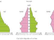 Đề kiểm tra học kì I Địa 10 SBT Địa lớp 10: Nêu sự khác nhau của 3 kiểu tháp dân số cơ bản.