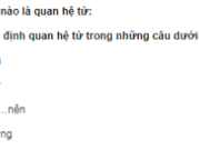 Soạn bài Quan hệ từ – Bài 7 trang 96 Văn 7: Các quan hệ từ nói trên liên kết những từ ngữ hay những câu nào với nhau ?