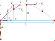 Bài 15.6, 15.7, 15.8, 15.9, 15.10 trang 37 SBT Lý 10: Một vật được ném lên thẳng đứng sau 2 s lại rơi xuống đến vị trí ban đầu. Tính tốc độ ban đầu v0 của vật?