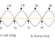 Bài 9.1, 9.2, 9.3, 9.4 trang 23 SBT Lý 12: Sóng dừng là gì ?