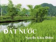 Soạn bài Đất nước – Bài 10 trang 117 Văn lớp 12: Trong phần đầu của đoạn trích (từ đầu đến “Làm nên Đất Nước muôn đời”), tác giả đã cảm nhận về đất nước trên những phương diện nào ?